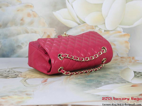 Chanel 2.55 Classic Flap Bag Rose Original Cannage Patterns Gold