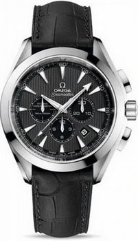Omega Seamaster Aqua Terra Chronometer Watch 158592X