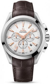 Omega Seamaster Aqua Terra Chronometer Watch 158592Z