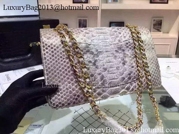 Chanel 2.55 Series Flap Bags Gray Original Python Leather A1112SA Gold
