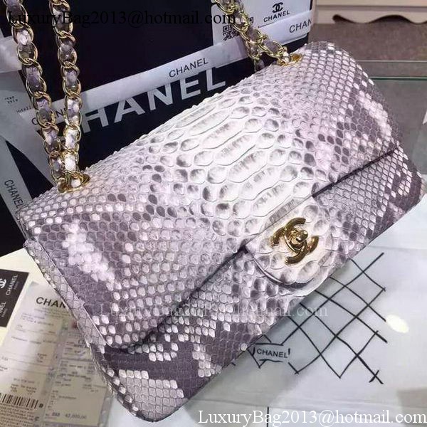 Chanel 2.55 Series Flap Bags Grey Original Python Leather A1112SA Gold