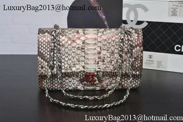 Chanel 2.55 Series Flap Bags Grey Original Python Leather A1112SA Silver