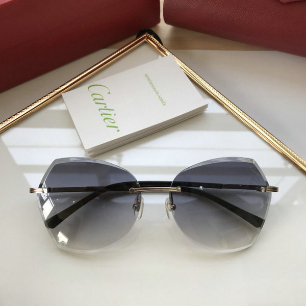 Cartier Sunglasses CTS18047067