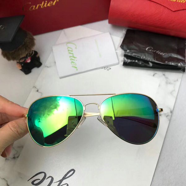 Cartier Sunglasses CTS18047072