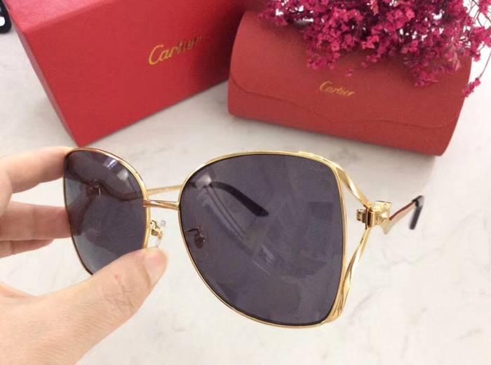 Cartier Sunglasses Top Quality C41060