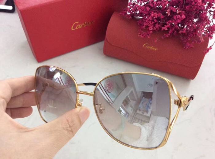 Cartier Sunglasses Top Quality C41064