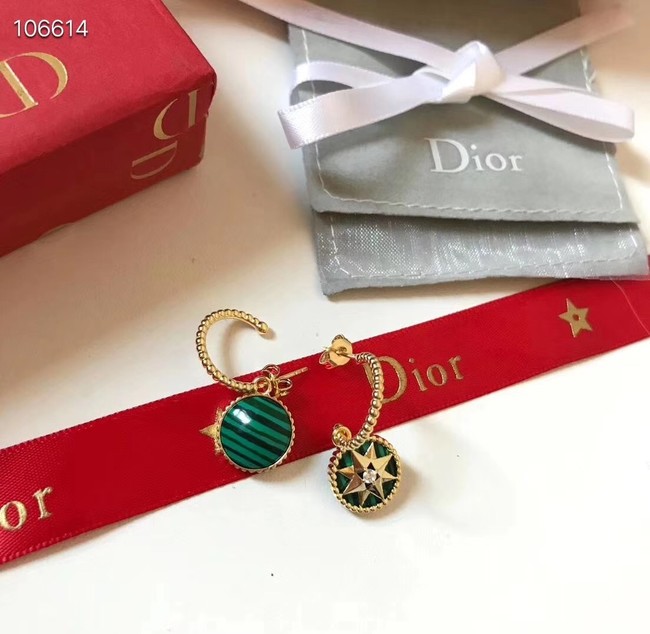 Dior Earrings CE3571