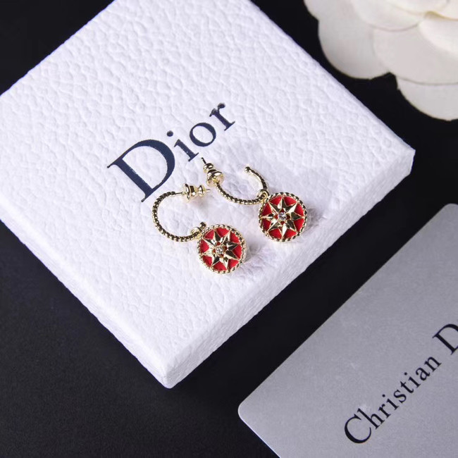 Dior Earrings CE5230