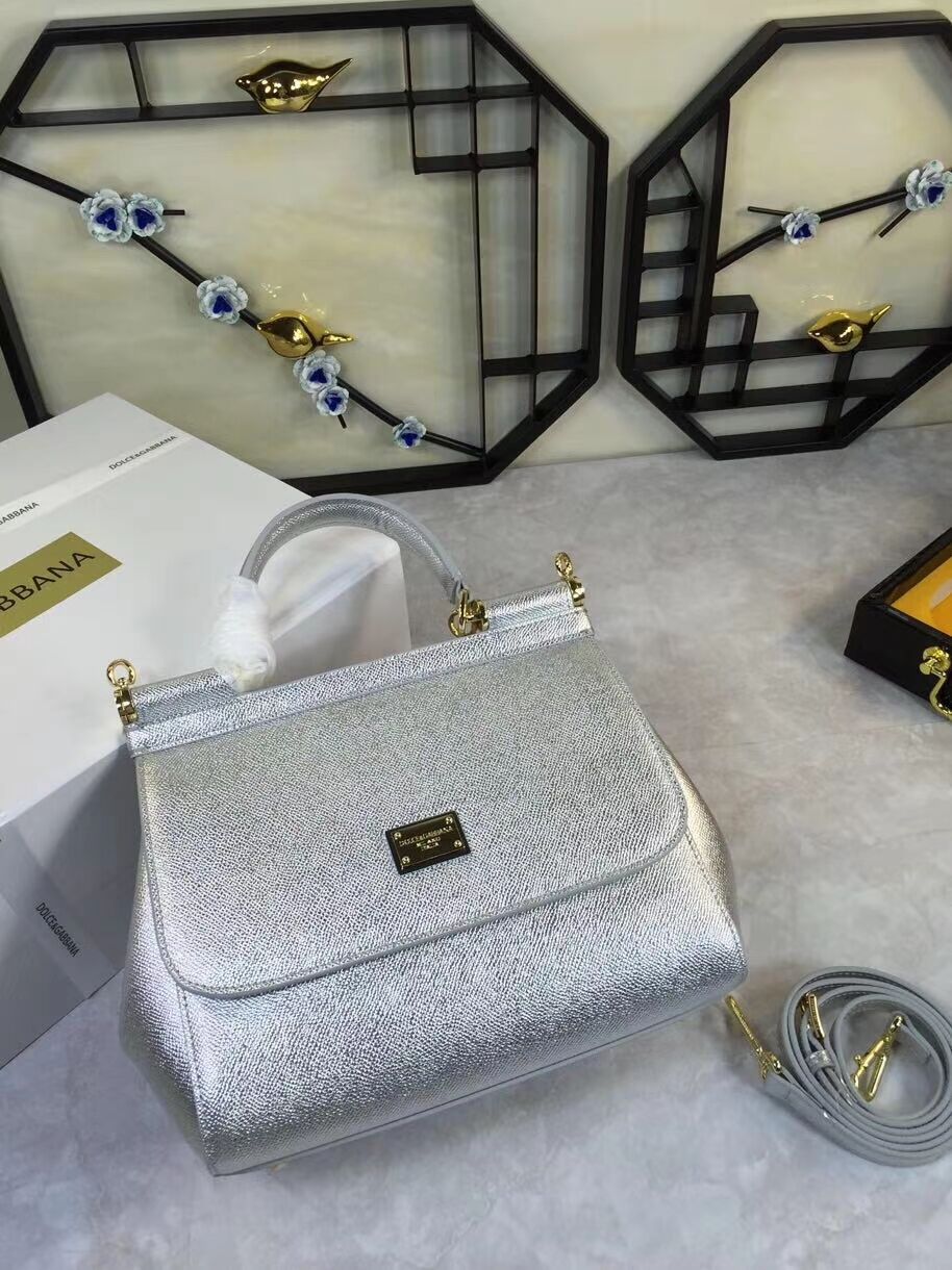 Dolce & Gabbana Origianl Leather 4136 silver