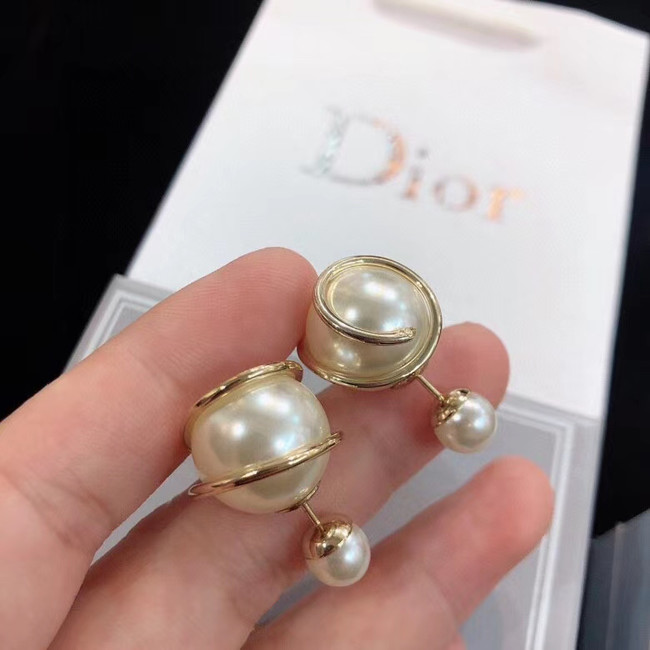 Dior Earrings CE5669