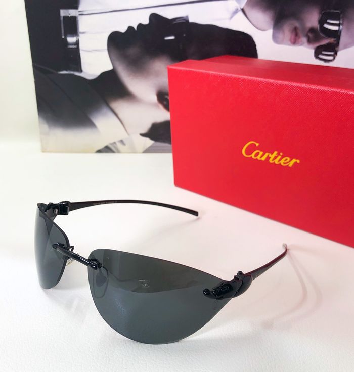 Cartier Sunglasses Top Quality CAS00071