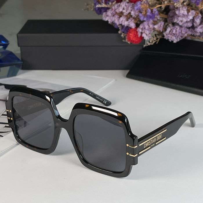 Dior Sunglasses Top Quality DIS00574