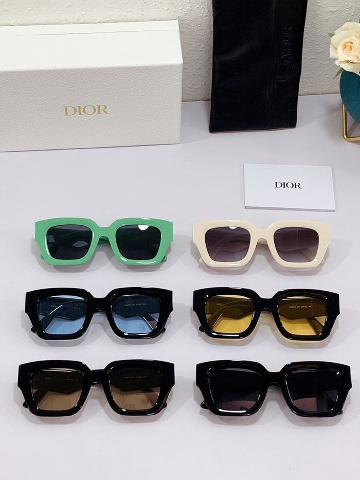 Dior Sunglasses Top Quality DIS00993