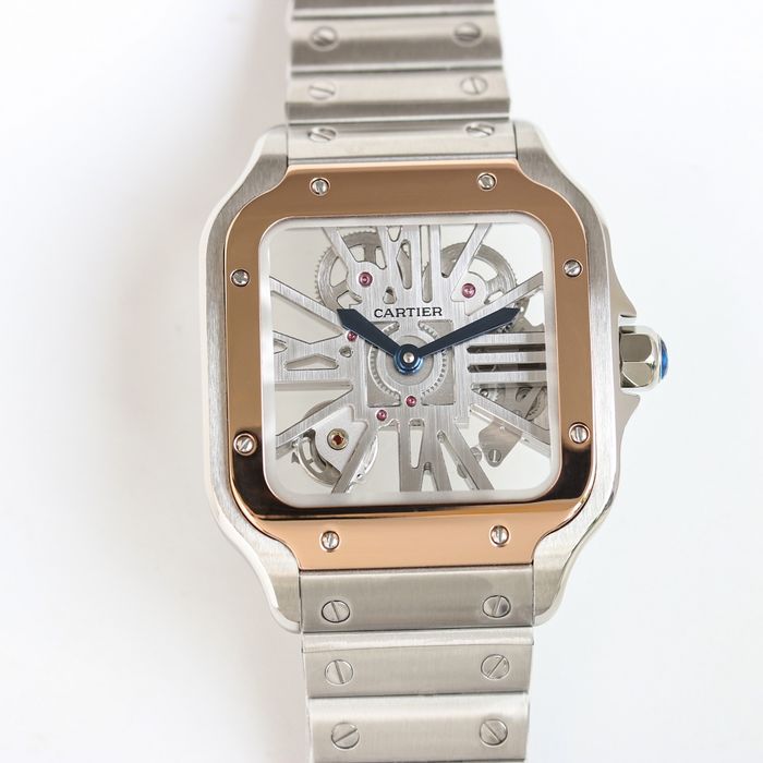 Cartier Watch CTW00361-2
